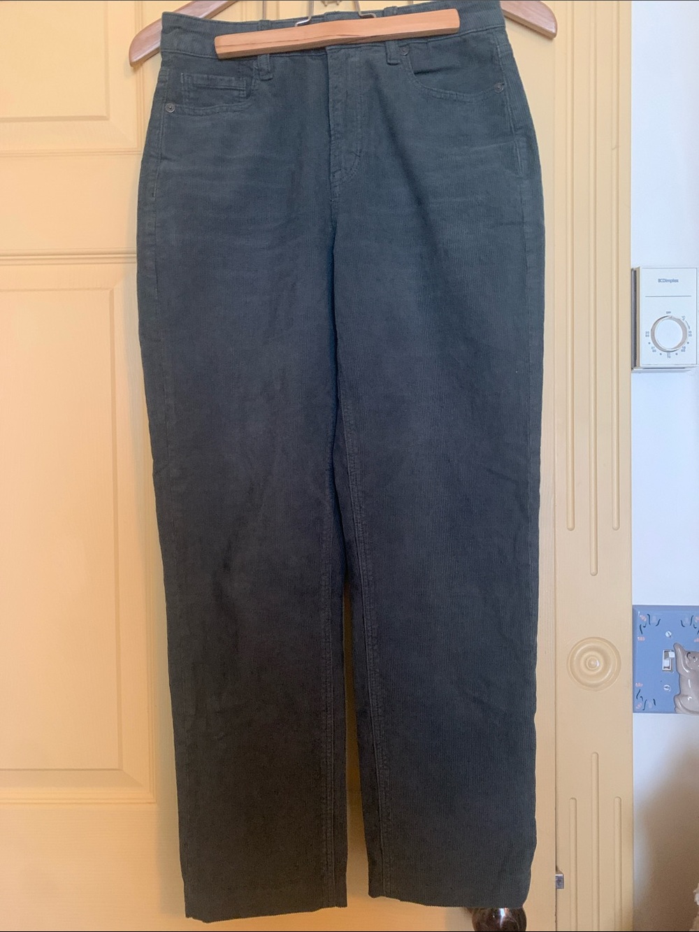 American Eagle Stretch Corduroy Pants